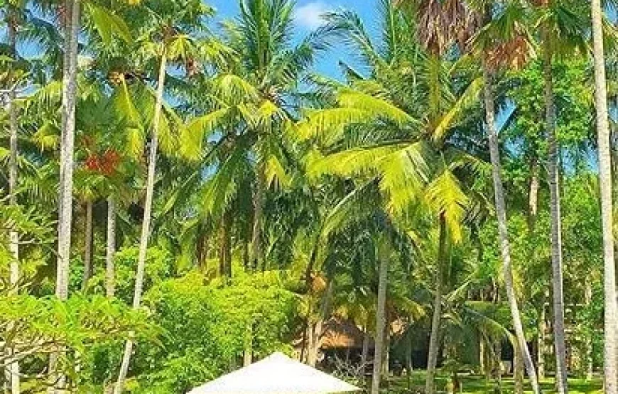 Discover Nadi Tour – Denarau Island