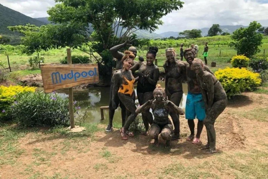 Nadi Sabeto Hotspring Mudpool Tours Fiji