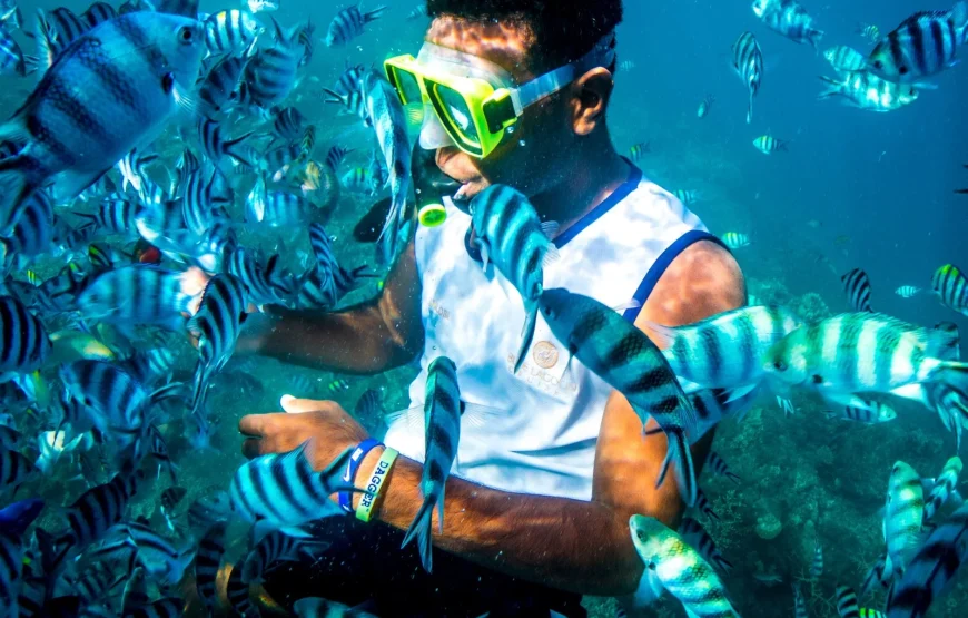Fiji Explorer Cruise