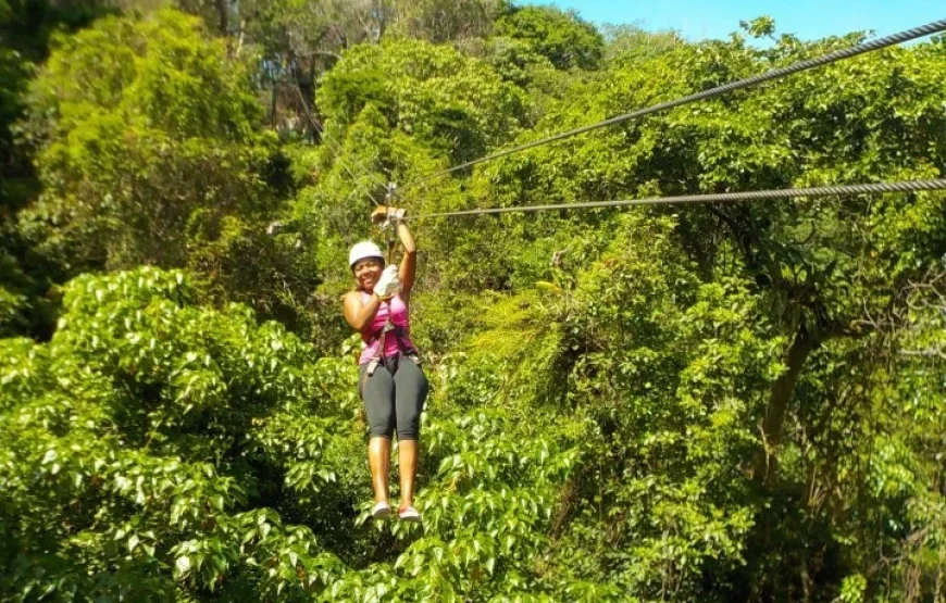 Zipline Adventure Fiji Half Day Tour