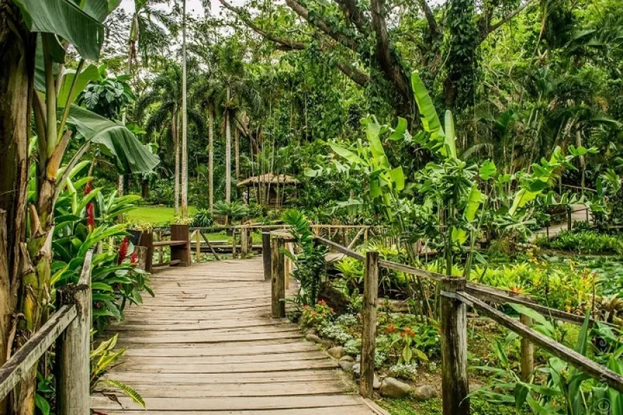 Best Nadi Tour for 2026