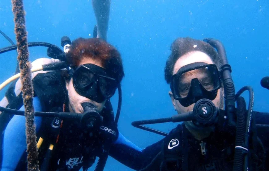 Island Snorkel Picnic (Koro Levu) Fiji
