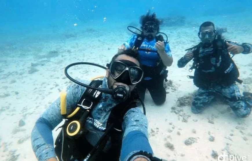 Fishing at Salt Diver Fiji