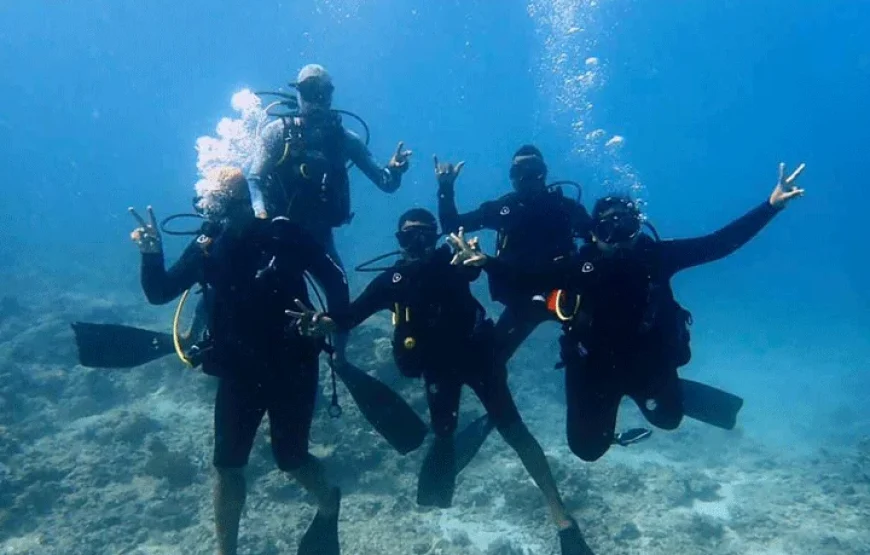 Island Snorkel Picnic (Koro Levu) Fiji