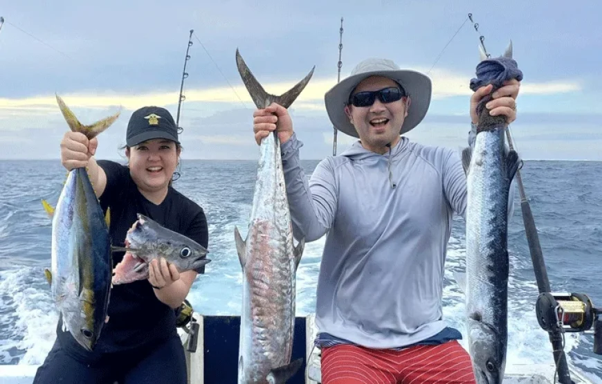 5 Hours Private Charter Tours