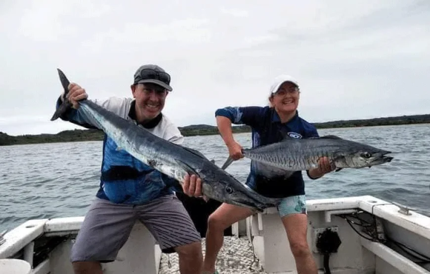 5 Hours Private Charter Tours