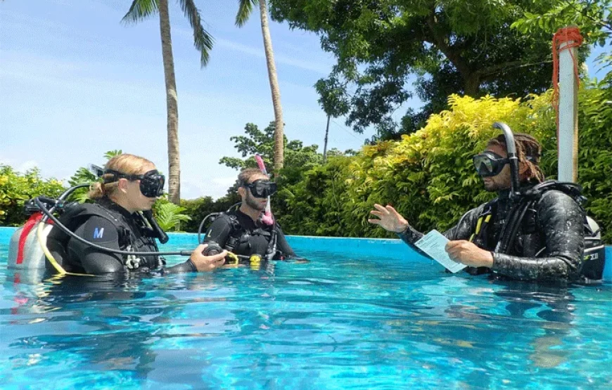 Snorkeling at Salt Diver Fiji