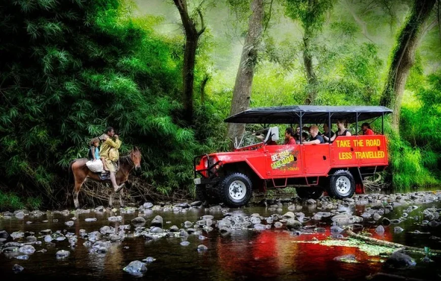 Naihehe Cave Safari Tours in Sigatoka