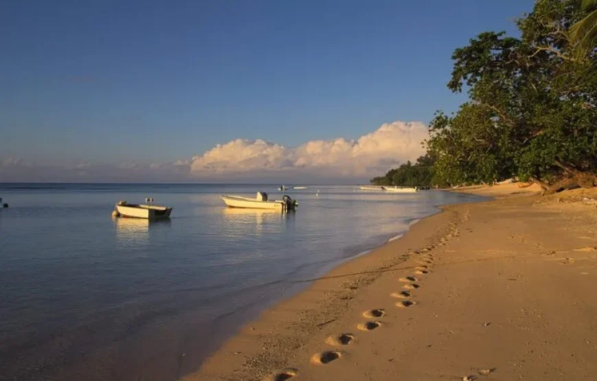 Experience Diving in Fiji | Bula!
