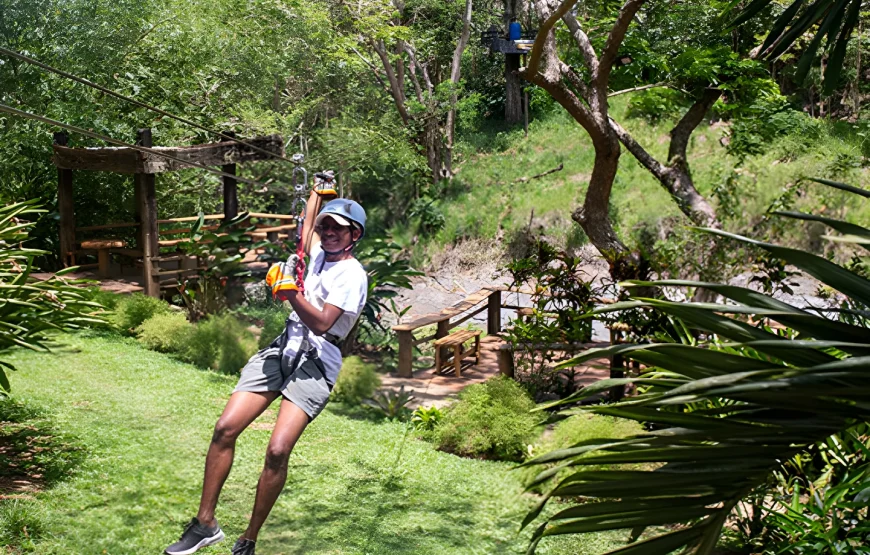 The Top Fiji Ziplining (Updated 2026)