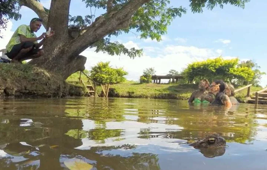 Thermal Mud Pool & Garden Tour Fiji