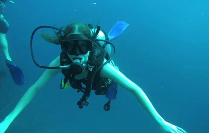 Private Charter Dive Trips Fiji