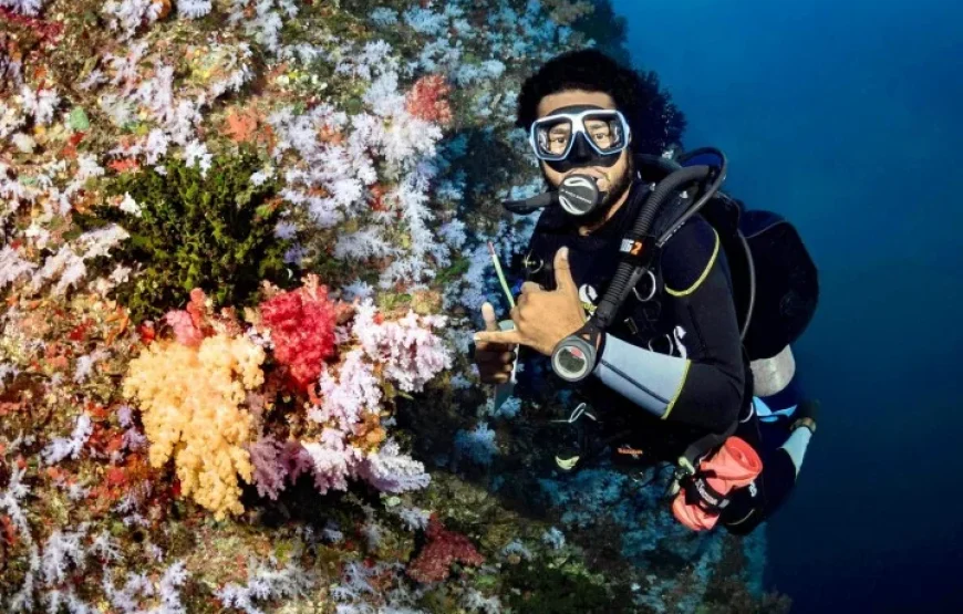 The Top Fiji Scuba Diving (Updated 2026)