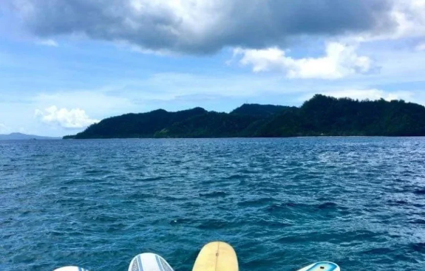The Top Fiji Scuba Diving (Updated 2026)