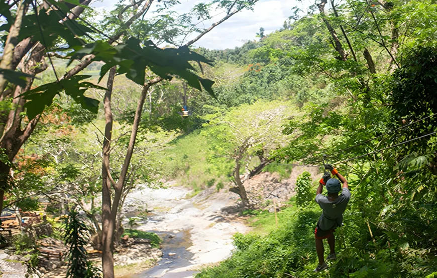 The Top Fiji Ziplining (Updated 2026)