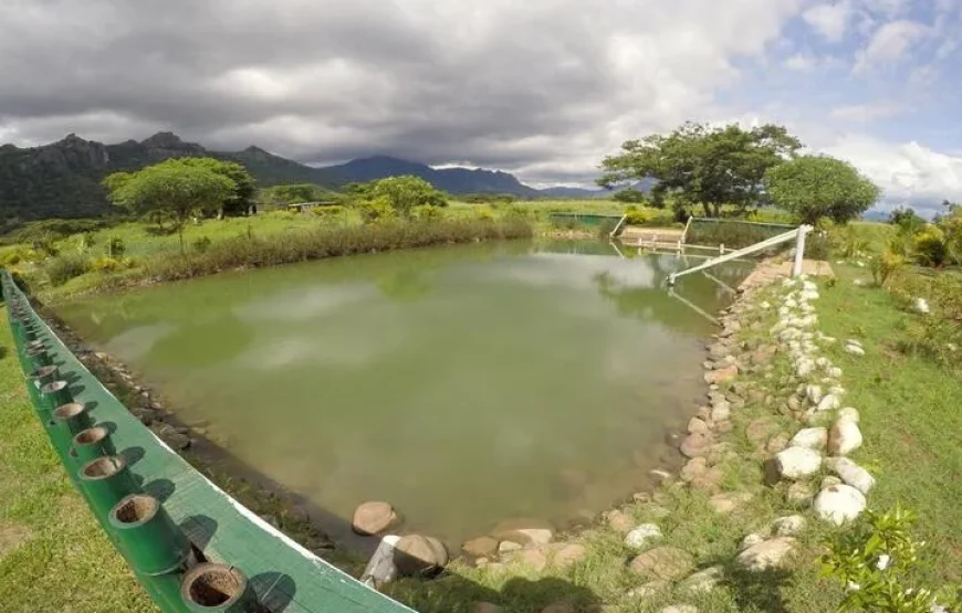 Thermal Mud Pool & Garden Tour Fiji