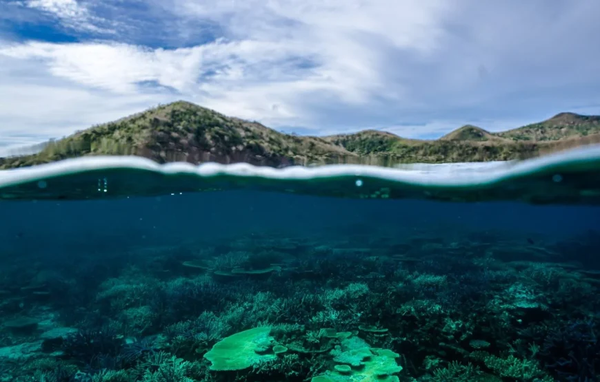 Jewel Of Fiji