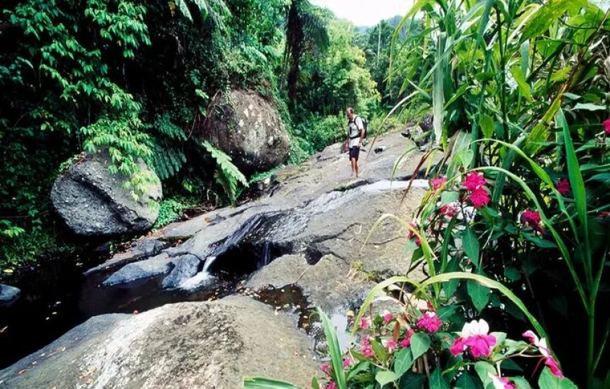 Jewel Of Fiji
