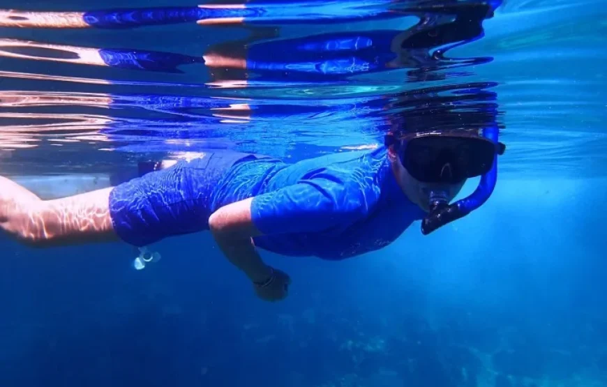 Shark Diving in the Beqa Lagoon Fiji
