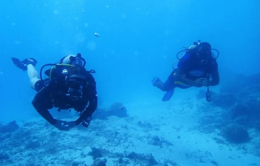 Shark Diving in the Beqa Lagoon Fiji
