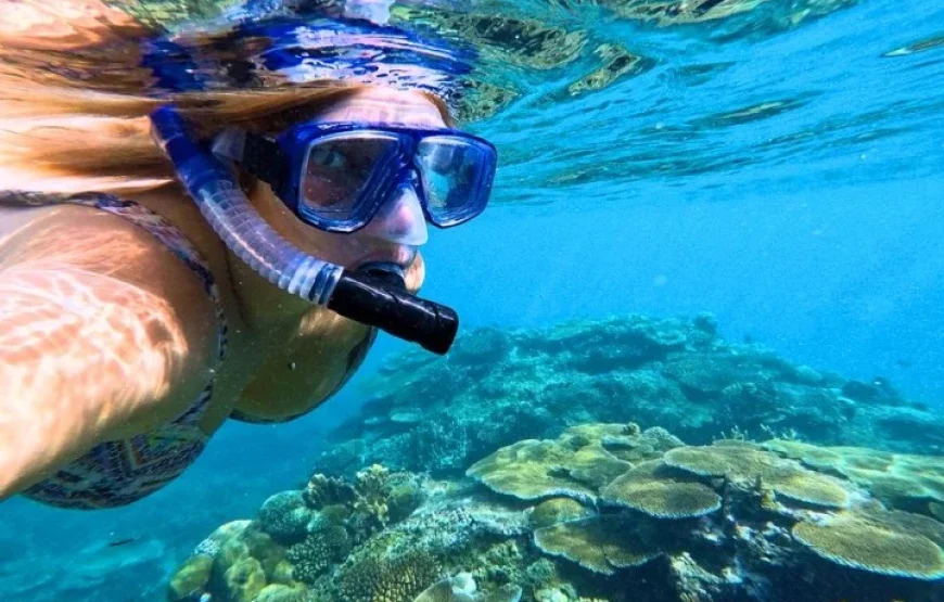 Discover Scuba Diving Fiji