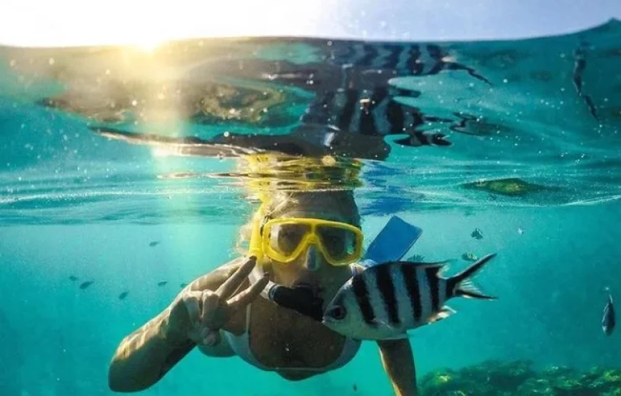 Discover Scuba Diving Fiji