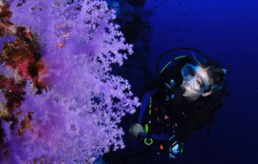 Taveuni Snorkeling Fiji