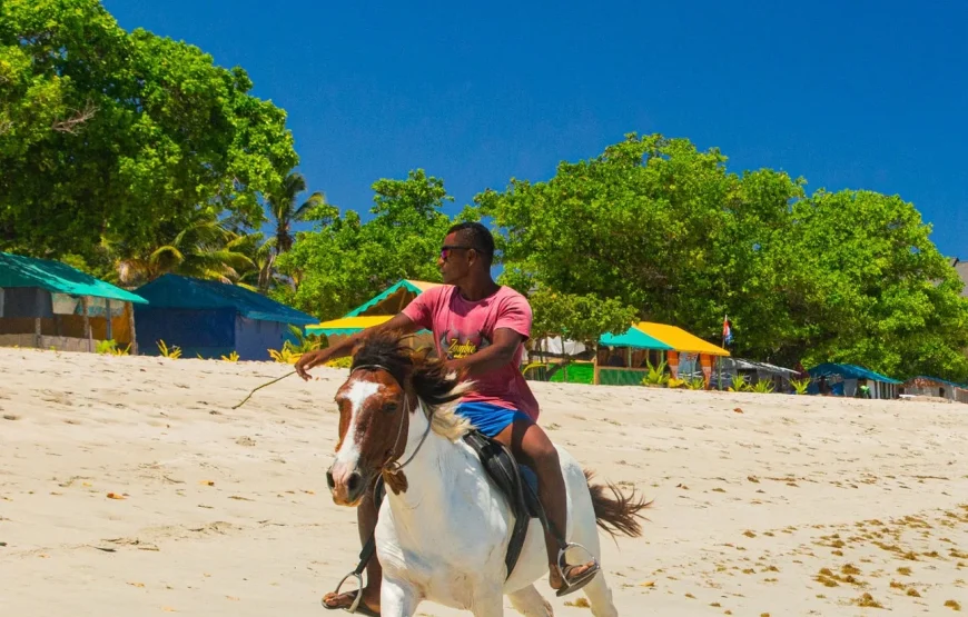 Natadola Beach Tour Fiji