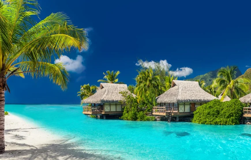 Coral Coast Day Tour