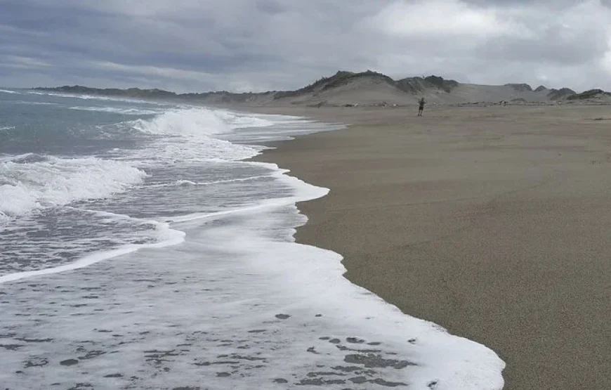 Sand Dunes National Heritage Park & Natadola Beach Half Day Tour