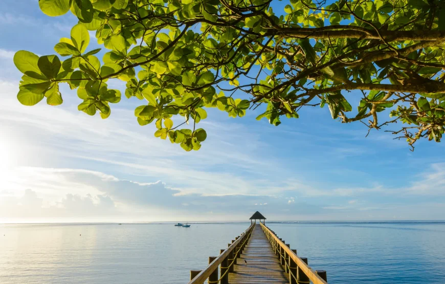 Customized  Return Transfers From Airport to Maui Bay Coral Coast