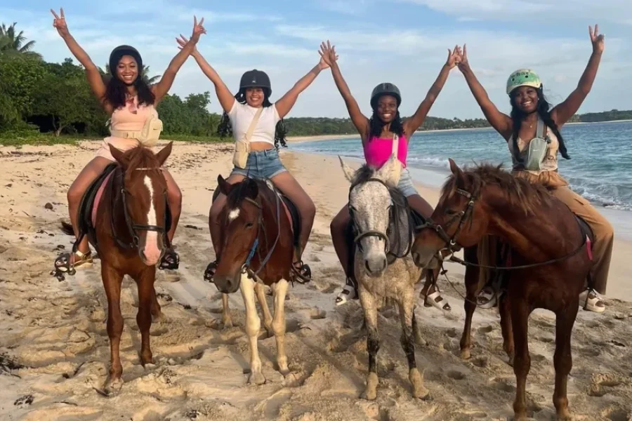 Return Transfers from Crowne Plaza Resort to Natadola Beach Fiji