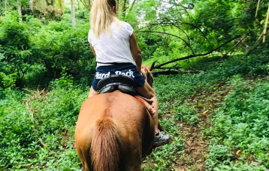 Natadola Bay Combinational Horse Ride + Beach Massage