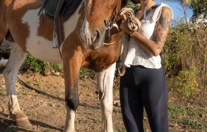 Natadola Bay Combinational Horse Ride + Beach Massage