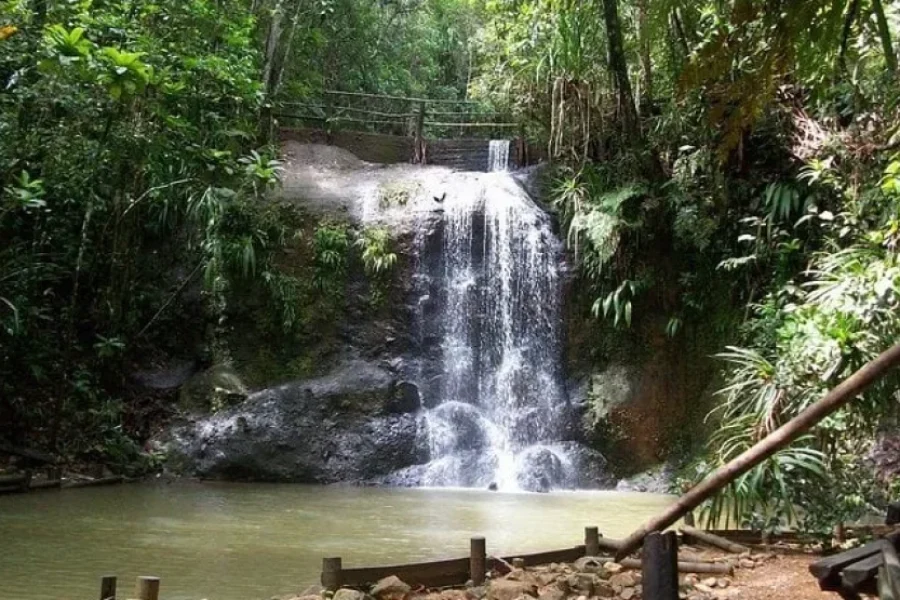 Colo-i-Suva Forest Waterfall Tour