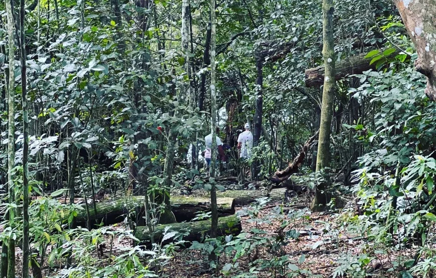 Fijian Cultural Tour