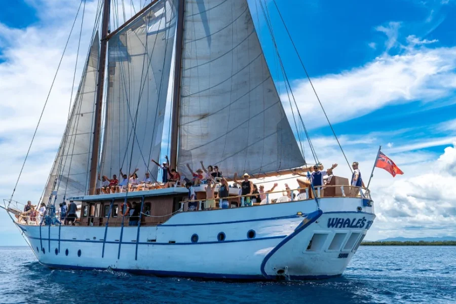 Whale’s Tale Cruises Fiji (Denarau Island)