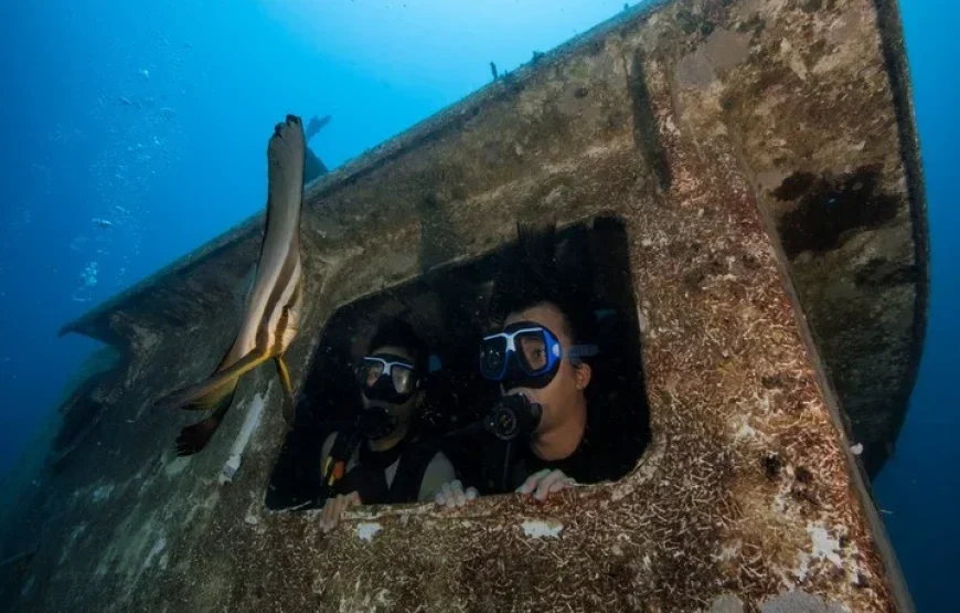 Fiji Sailing Trip | Sabre Fiji Sailing Day Trip