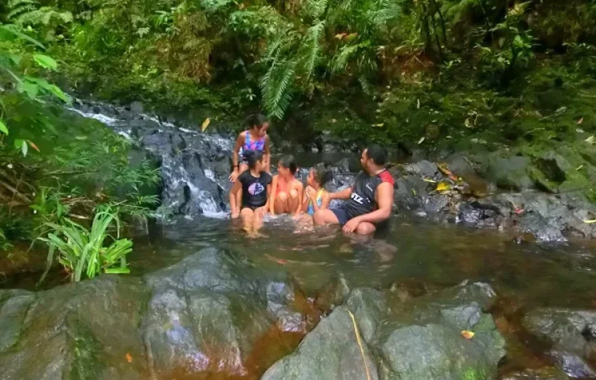 Fijian Nature and Waterfall Tour