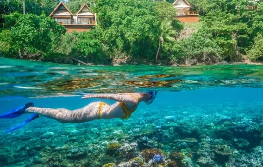 Top Fiji Cultural Tours (Updated 2026)