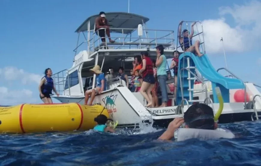 Coral Coast Full Day Tour