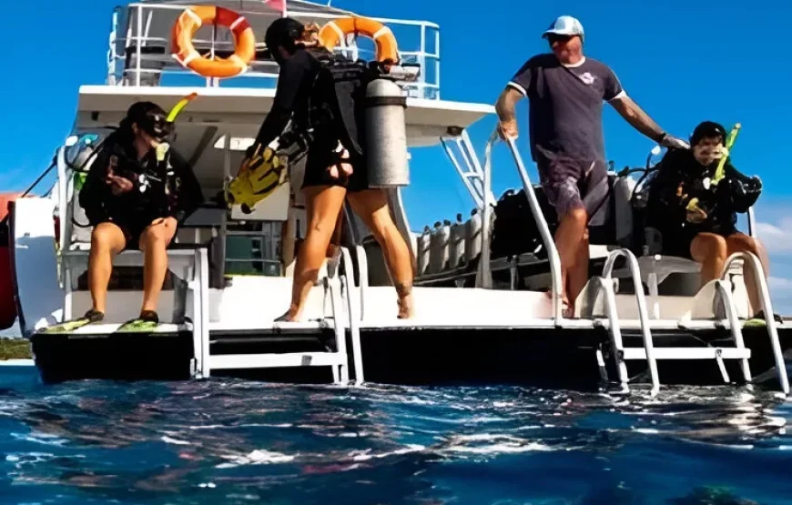 Mt Batilamu Peek Day Track Fiji