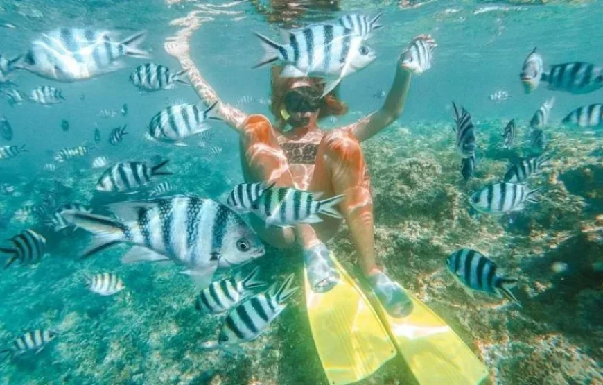 Tropical Fiji Island Hopping