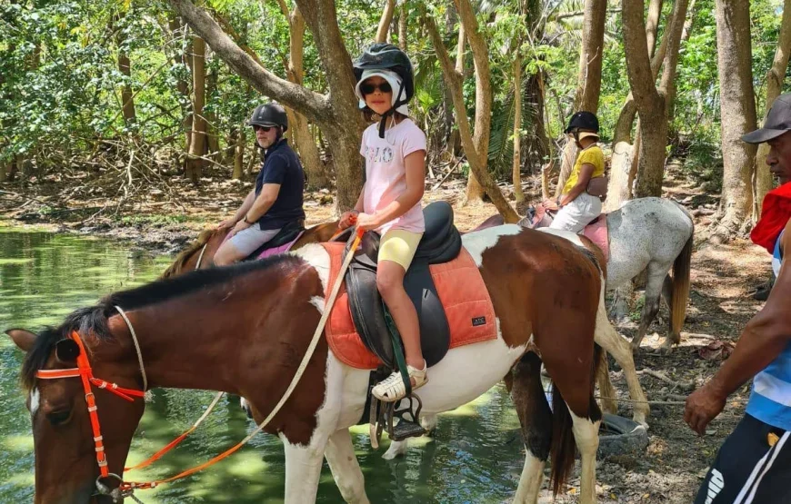 Natadola Beach Cross Country Horse Riding Fiji