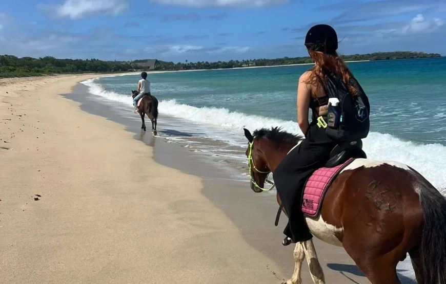 Natadola Beach Horse Riding Fiji – AU$95