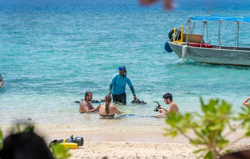 Whale’s Tale Cruises Fiji (Denarau Island)