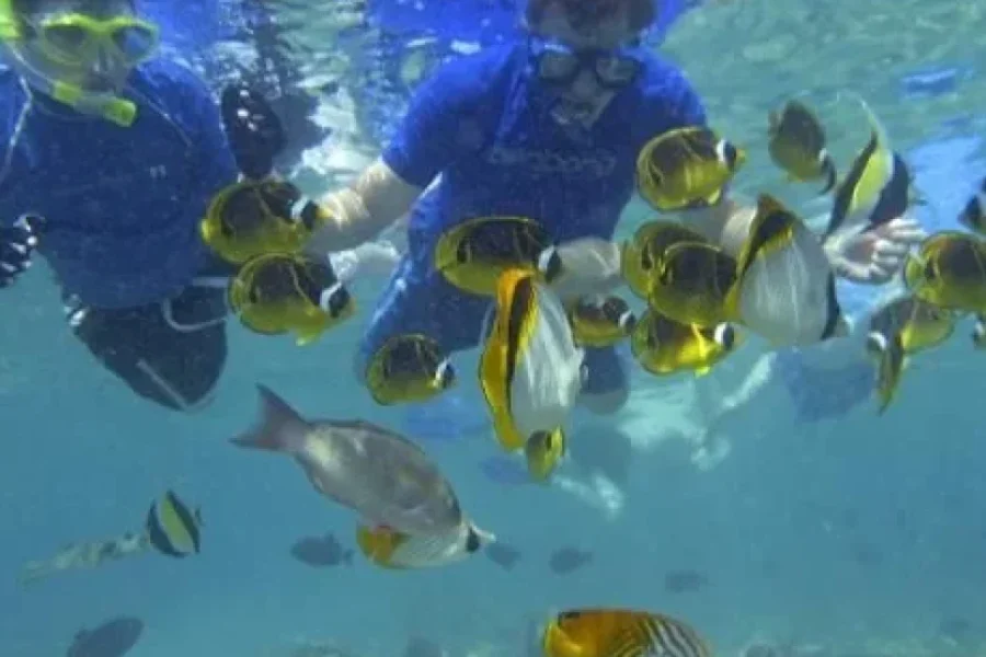 Fiji: Mamanuca Islands All-Inclusive Sailing Cruise