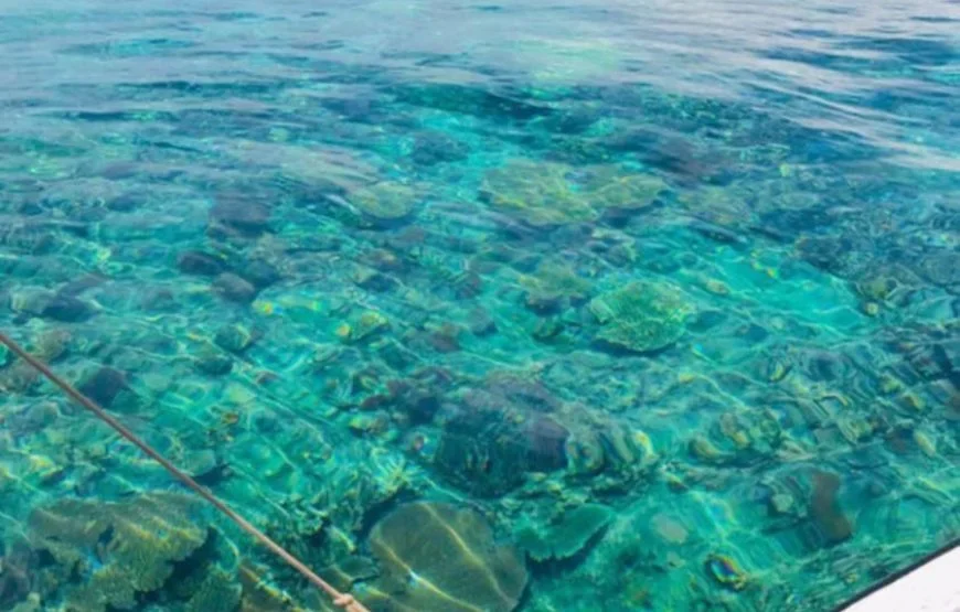 Fiji Island Hopping Day Cruise Private Tours