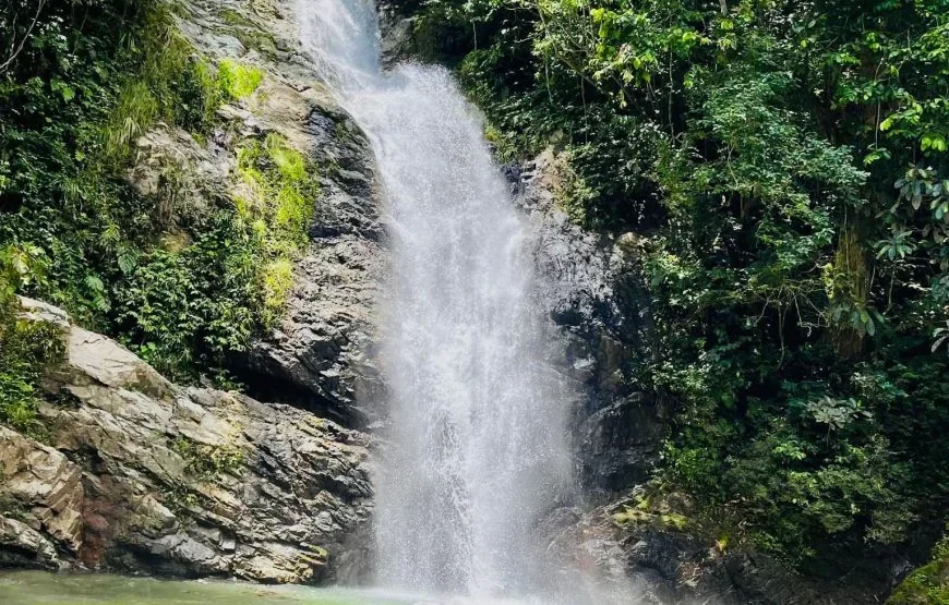 Coral Coast Fiji Waterfall and Rainforest Horse Riding 2026