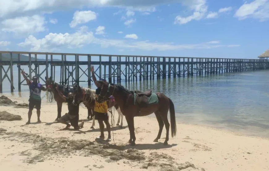 Coral Coast Horse Riding & Fijian Culinary Adventure